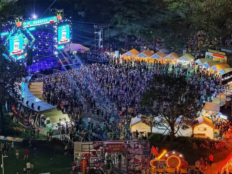 宝安区领导一行